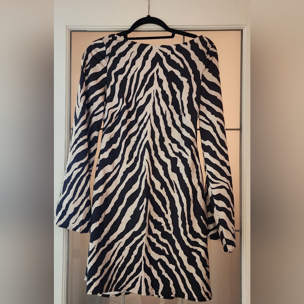 Zebra Print Mini Dress - Picture 4 of 5